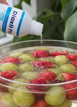 DESINFECTANTE DE ALIMENTOS DIOXILL PLUS