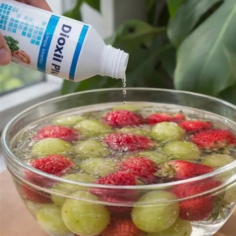 DESINFECTANTE DE ALIMENTOS DIOXILL PLUS