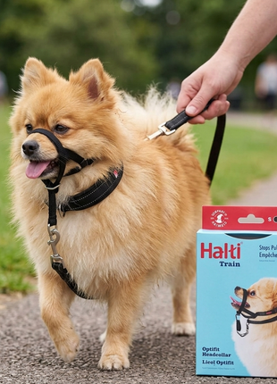 CABEZAL PARA PERROS HALTI SMALL