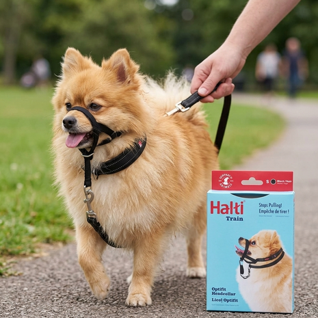 CABEZAL PARA PERROS HALTI SMALL