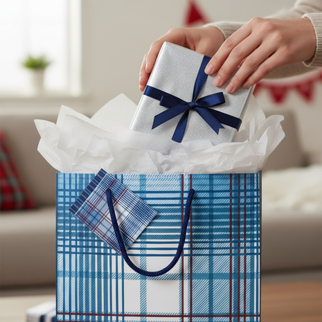 Bolsa regalo azul tartan lifestyle regalo