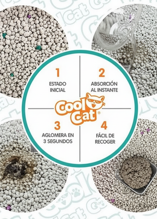 Cool Cat - Infografía 4 pasos