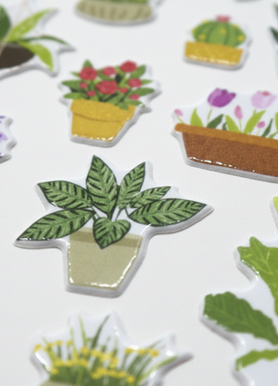 Kipit Sticker Plantas macro