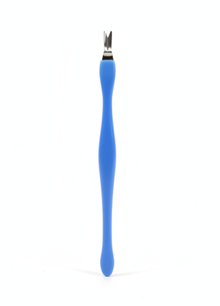 Nipper azul fondo blanco estudio