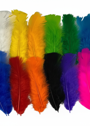 Plumas de colores - fondo blanco puro