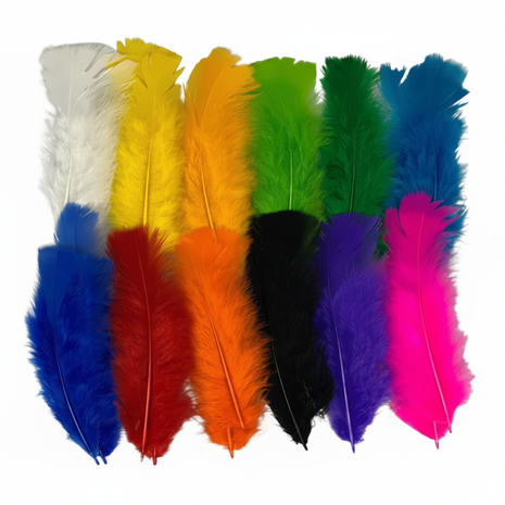 Plumas de colores - fondo blanco puro