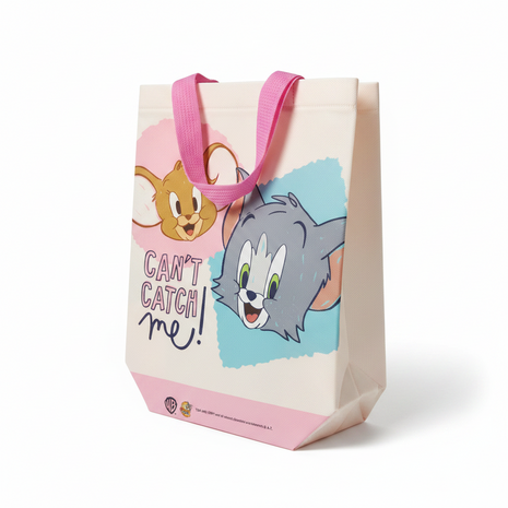 BOLSA DE TELA PEQUEÑA 24X26X10 CM MODELO ALEATORIO